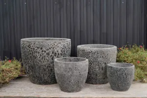 Angkor Green Mist Ceramic Pots | Stylish Indoor Outdoor Planters (Set of 4)