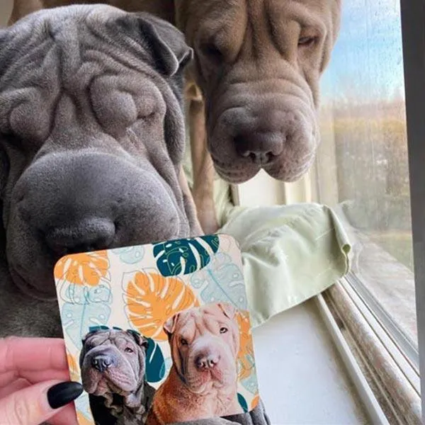 Custom Pet Art Coasters