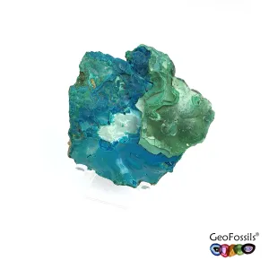 Natural Botryoidal Chrysocolla Mineral Specimen