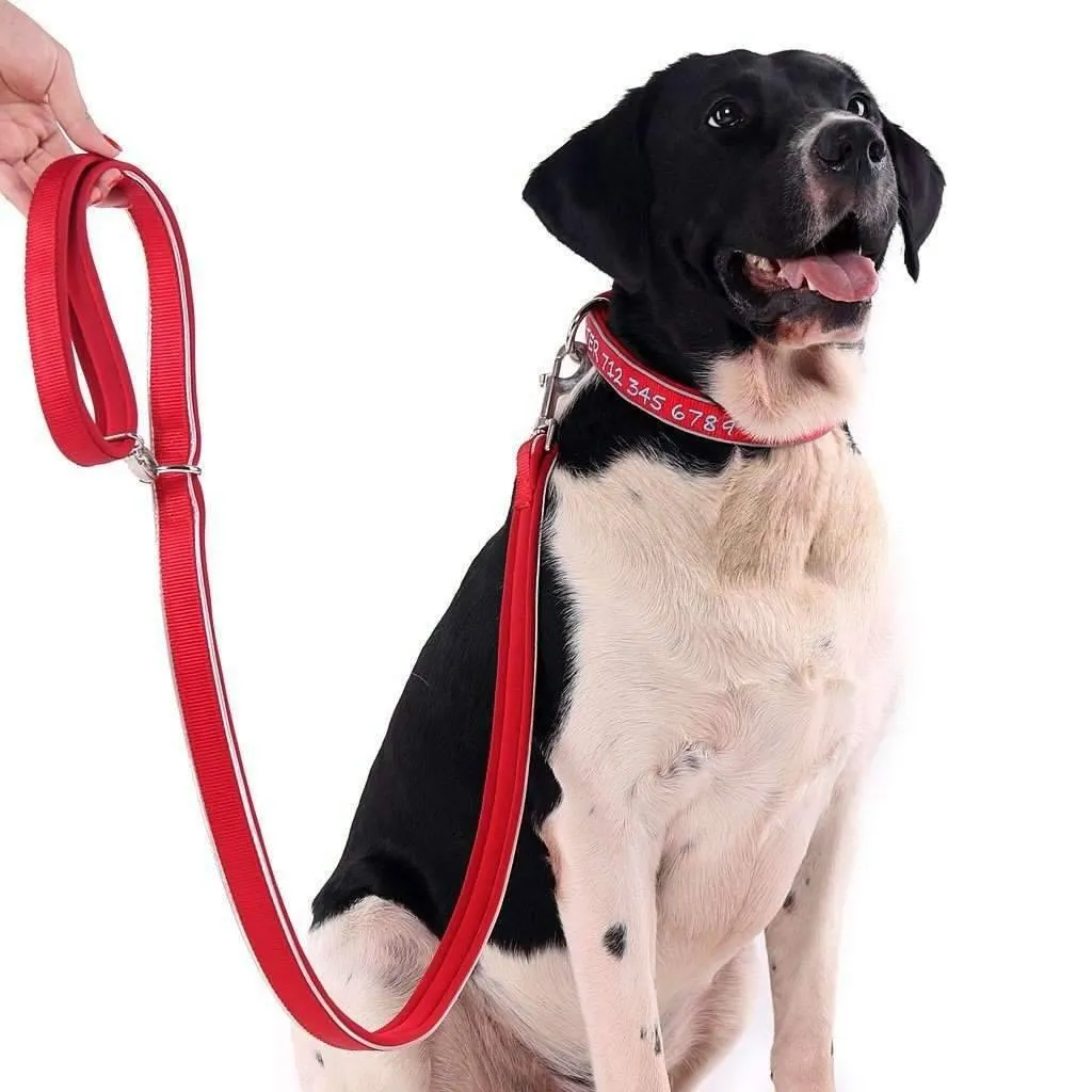 (NEW DESIGN) Super Premium - Nylon & Padded Neoprene with Safety Reflection Strips Dog Collars